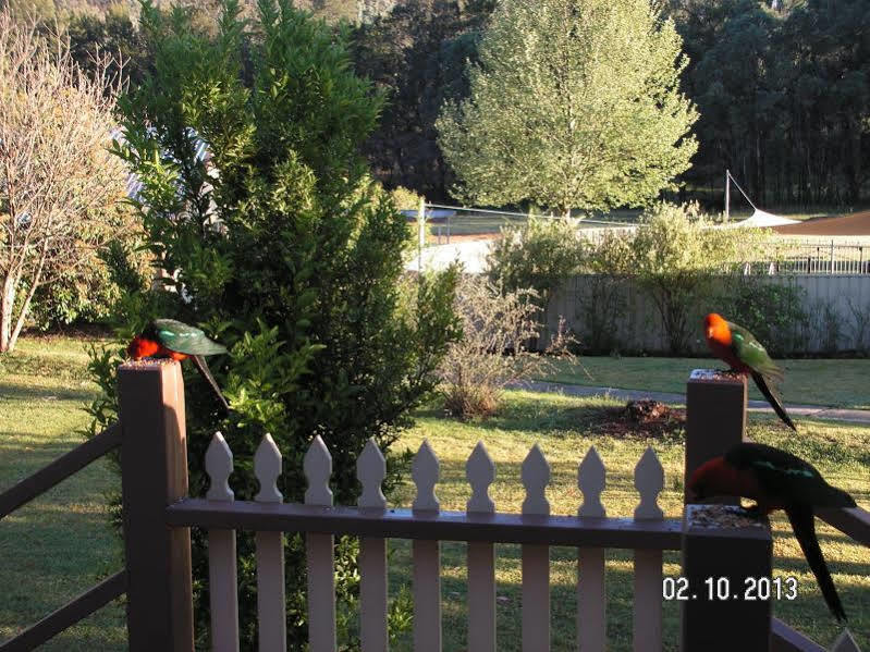 Warrumbungles Mountain Motel Coonabarabran Exteriér fotografie